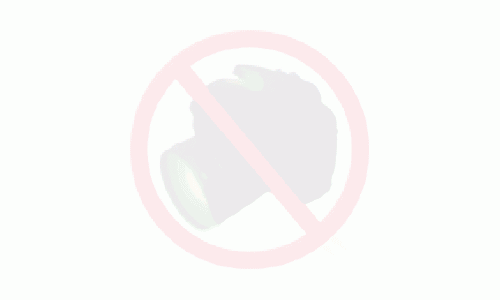 Ungaria